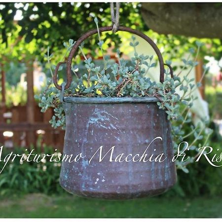 Agriturismo Macchia Di Riso Nova Siri Marina Luaran gambar